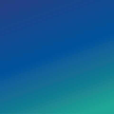 210503_replay_webinaire_service_economie_et_societe