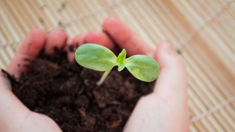 rse_trophees_solidaires